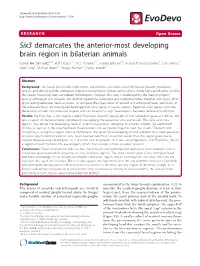 Six3 Demarcates the Anterior-Most Developing Brain Region In