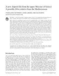 A New Clupeid Fish from the Upper Miocene of Greece: a Possible Hilsa Relative from the Mediterranean