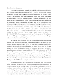 C.4. Executive Summary
