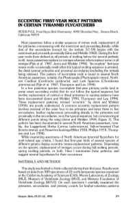 Eccentric First-Year Molt Patterns in Certain Tyrannid Flycatchers