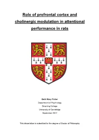 Role of Prefrontal Cortex and Cholinergic Modulation in Attentional