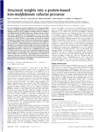 Structural Insights Into a Protein-Bound Iron-Molybdenum Cofactor Precursor