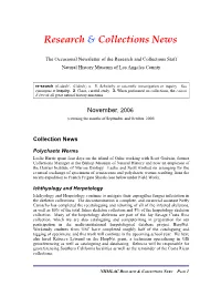 2006-11 R&C Newsletter