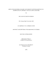 Simulation Studies on Shape and Growth Kinetics for Fractal Aggregates in Aerosol and Colloidal Systems