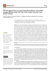 The Disappearance of Coal Seams Recorded in Associated Gangue Rocks in the SW Part of the Upper Silesian Coal Basin, Poland