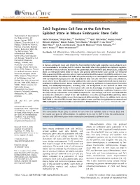 Zeb2 Regulates Cell Fate at the Exit from Epiblast State In
