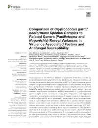Comparison of Cryptococcus Gattii/Neoformans