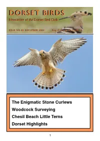 Newsletter 81 2.0Col