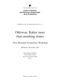 Oldowan: Rather More Than Smashing Stones