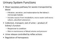 Urinary System Functions