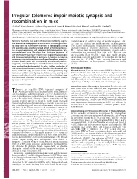 Irregular Telomeres Impair Meiotic Synapsis and Recombination in Mice