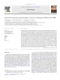 Abnormal Cortical Processing of Pattern Motion in Amblyopia: Evidence from Fmri