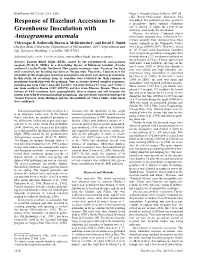 Response of Hazelnut Accessions to Greenhouse Inoculation With