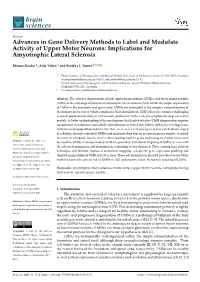 Advances in Gene Delivery Methods to Label and Modulate Activity of Upper Motor Neurons: Implications for Amyotrophic Lateral Sclerosis