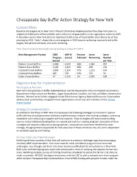 New York Buffer Action Plan