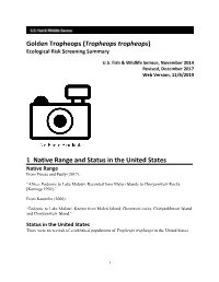 Golden Tropheops (Tropheops Tropheops) Ecological Risk Screening Summary