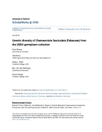 Genetic Diversity of Chamaecrista Fasciculata (Fabaceae) from the USDA Germplasm Collection