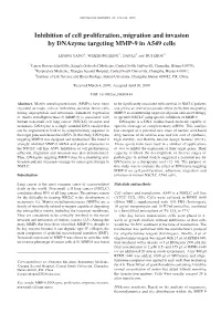 Inhibition of Cell Proliferation, Migration and Invasion by Dnazyme Targeting MMP-9 in A549 Cells