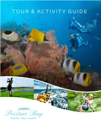 Tour & Activity Guide