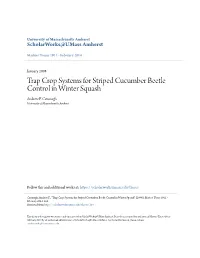 Trap Crop Systems for Striped Cucumber Beetle Control in Winter Squash Andrew F