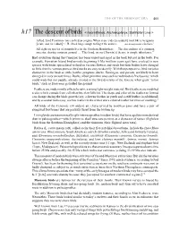 H17 the Descent of Birds &lt; Neornithines, Archaeopteryx