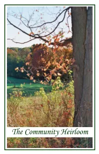 Annual Report 2008.Pub