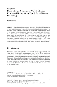 From Moving Contours to Object Motion: Functional Networks for Visual Form/Motion Processing
