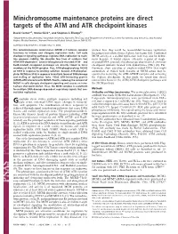 Minichromosome Maintenance Proteins Are Direct Targets of the ATM and ATR Checkpoint Kinases
