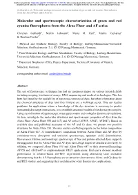 Molecular and Spectroscopic Characterization of Green and Red Cyanine Fluorophores from the Alexa Fluor and AF Series