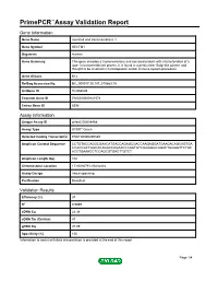 Primepcr™Assay Validation Report