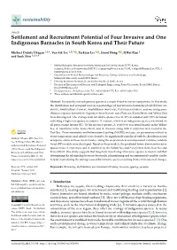 Settlement and Recruitment Potential of Four Invasive and One Indigenous Barnacles in South Korea and Their Future