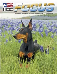Spring 2019 UDC Dedicated to the Total Doberman Spring 2019