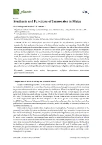 Synthesis and Functions of Jasmonates in Maize