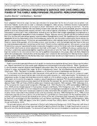 Variation in Cephalic Neuromasts Surface and Cave-Dwelling Fishes of the Family Amblyopsidae (Teleostei: Percopsiformes)
