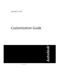Customization Guide