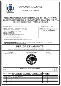 PERIZIA DI VARIANTE (Ai Sensi Dell'art