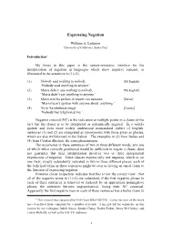 Expressing Negation