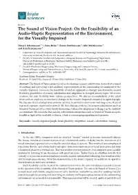 The Sound of Vision Project: on the Feasibility of an Audio-Haptic Representation of the Environment, for the Visually Impaired