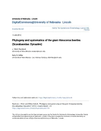 Phylogeny and Systematics of the Giant Rhinoceros Beetles (Scarabaeidae: Dynastini)