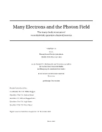 Many Electrons and the Photon Field the Many-Body Structure of Nonrelativistic Quantum Electrodynamics