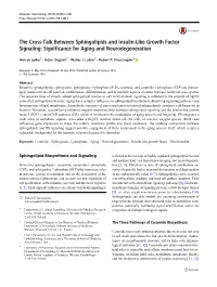Significance for Aging and Neurodegeneration