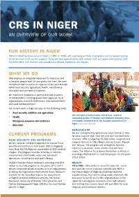CRS in NIGER an Overview of Our Work