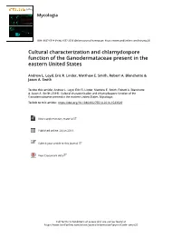 Cultural Characterization and Chlamydospore Function of the Ganodermataceae Present in the Eastern United States