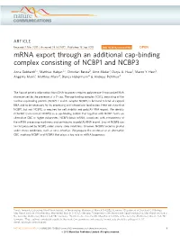 Mrna Export Through an Additional Cap-Binding Complex Consisting of NCBP1 and NCBP3