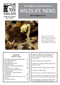 Newsletter 90