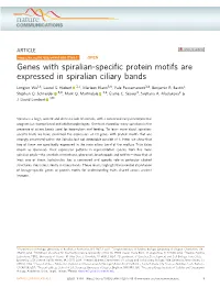 Genes with Spiralian-Specific Protein Motifs Are Expressed In