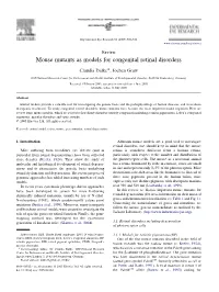 Mouse Mutants As Models for Congenital Retinal Disorders