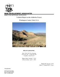 Technical Report on the Gold Strike Project for Pilot Gold, Inc., October 7