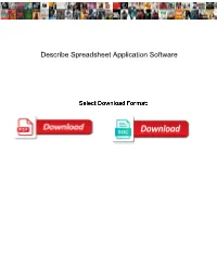 Describe Spreadsheet Application Software