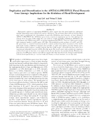 Duplication and Diversification in the APETALA1/FRUITFULL Floral